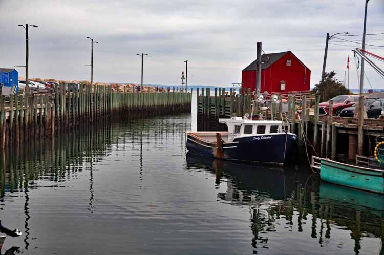harbor